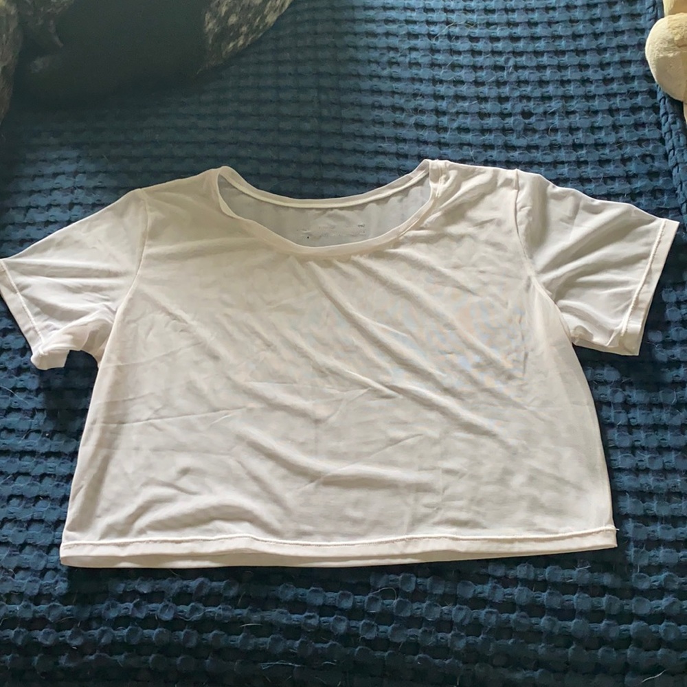 Mesh Crop